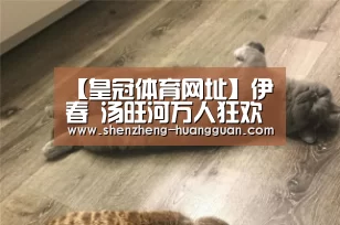 皇冠体育